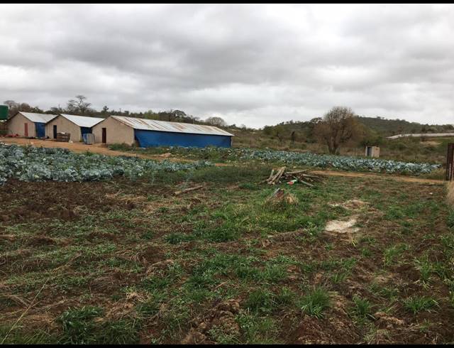 3,000M² SMALLHOLDING SOLD IN THOHOYANDOU RURAL